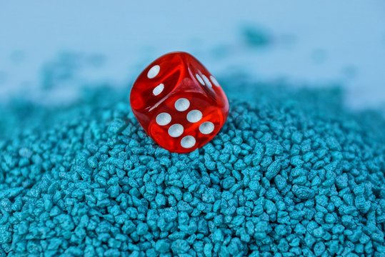 牵狗买彩票中奖号码：揭开幸运密码，赢得巨额奖金！