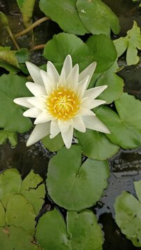 彩票中奖号码